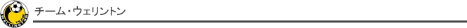 チーム・ウェリントン